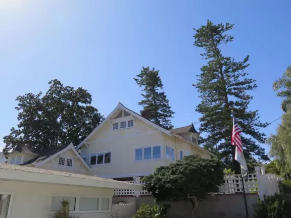 A walk among tropical trees and flowers, and the sweetest houses.