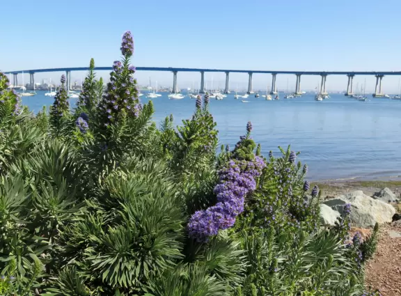 Fantastic one-mile stretch of off-street bike path along the north coast of Coronado Island!