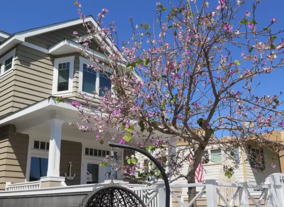 A walk among tropical trees and flowers, and the sweetest houses.