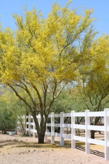 A lovely, short drive, with views of amazing Camelback Mountain.