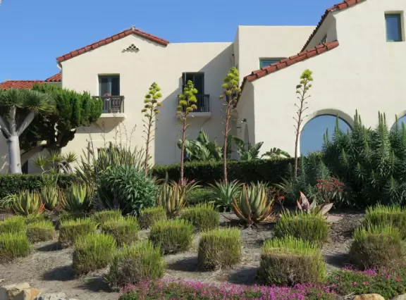 Healthy cafes, sweet Mary Star of the Sea Church, coffee shops, and walk past the amazing cliffs and coves of La Jolla.
