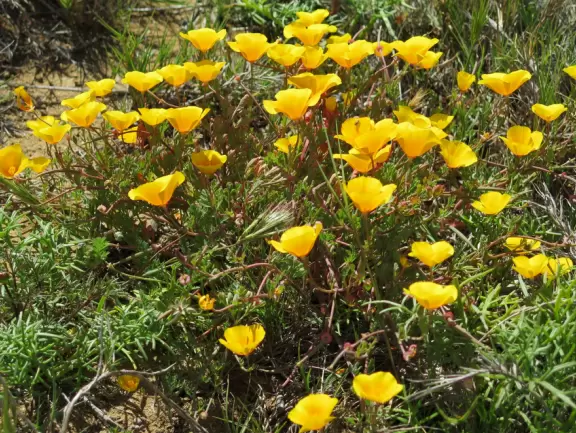Feel like you're on top of the world while standing at Cabrillo National Monument!