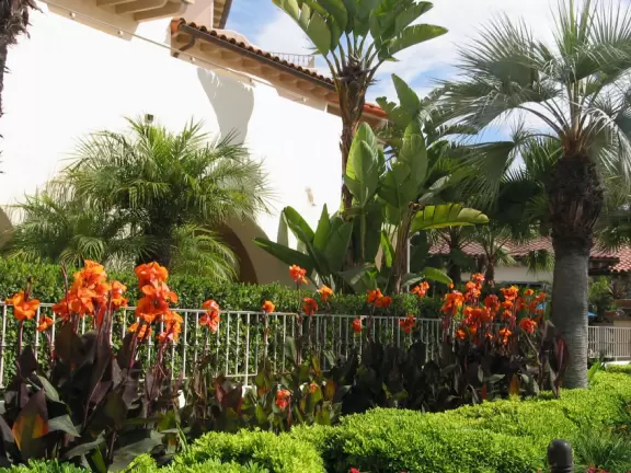 Things feel open and expansive under the skyhigh palms at West Beach boardwalk!