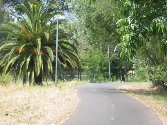 Bike alongside a bubbling creek, surrounded by tall trees, without the noise or fumes of cars, all the way from Hope Ranch, past Goleta Beach and UCSB, to Isla Vista!