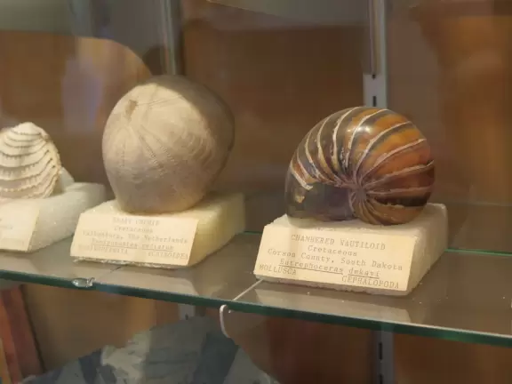 Special area of Balboa Park with adobe buildings, mesquite trees, and brightly colored tiles on the ground. Heart sculpture, and SD Gem Museum. Plus, the wonderful carousel!