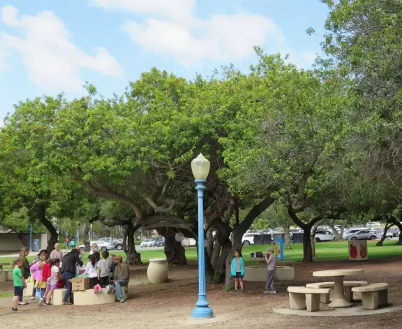 Large playground with animals to climb on, and beautiful trees.