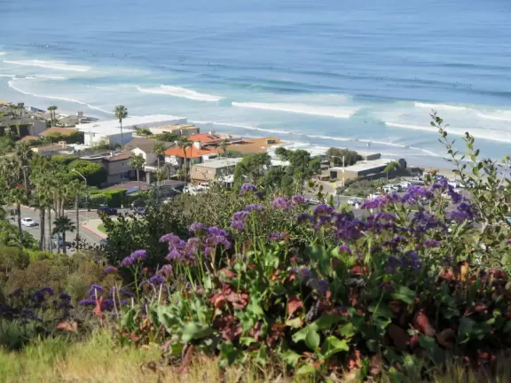 Gorgeous spot on the UC San Diego campus with pier, beach, park overlooking the beach, cafe, and coffee shop.