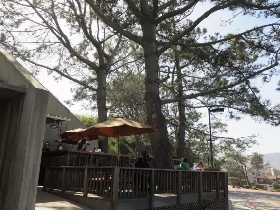 Gorgeous spot on the UC San Diego campus with pier, beach, park overlooking the beach, cafe, and coffee shop.