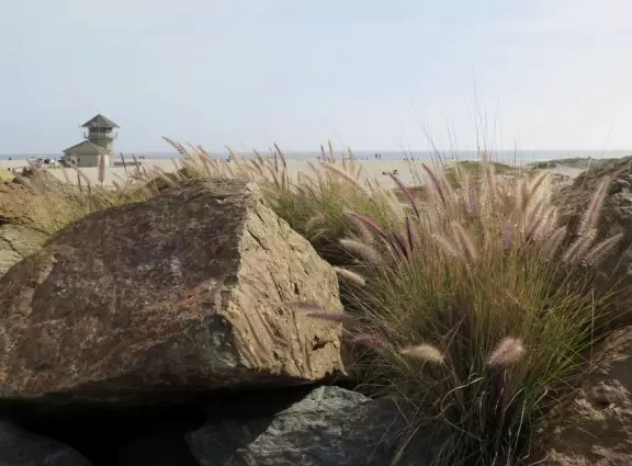 Historic resort with red turrets on foggy beach of fine white sand.
