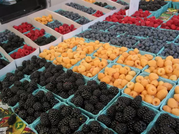 Colorful, delicious farmers market along lovely State Street.