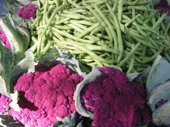 Colorful, delicious farmers market along lovely State Street.