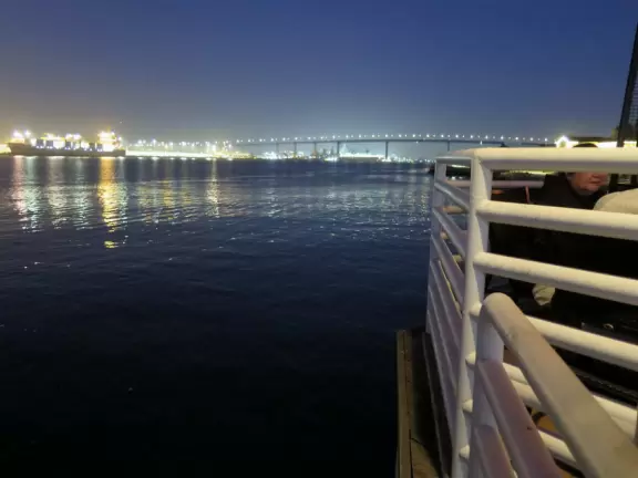 Touristy shops in an awesome location by the ferry terminal, Bayshore Bikeway, and Centennial Park. Lovely waterfront restaurants too.