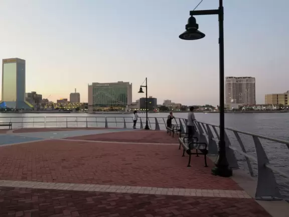 Gorgeous views of the blue bridge and wide waterway. See public art, and dolphins.