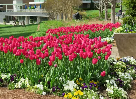 Beautiful in spring, especially April! Lovely artistically laid out medium-sized garden.