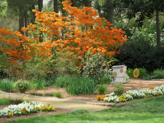 Beautiful in spring, especially April! Lovely artistically laid out medium-sized garden.