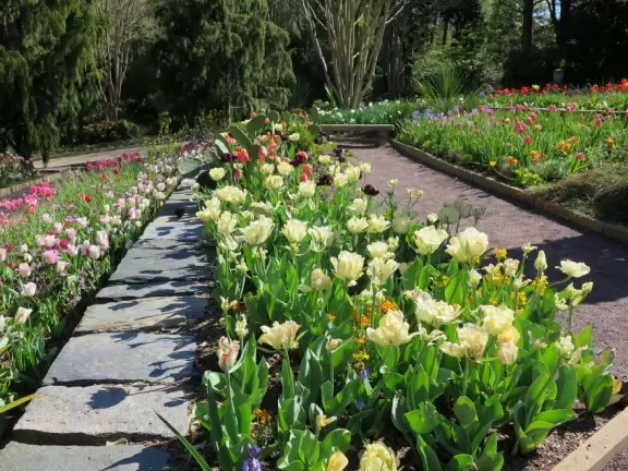 Large world-class garden with lakeside allees, flower terraces, and small Japanese garden.