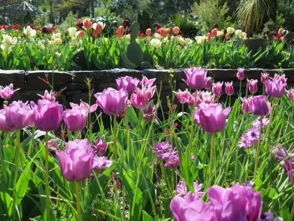 Large world-class garden with lakeside allees, flower terraces, and small Japanese garden.