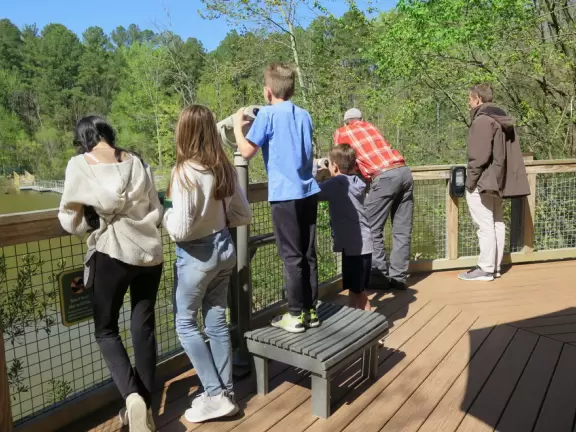 Amazing museum and grounds with so much for kids to do!