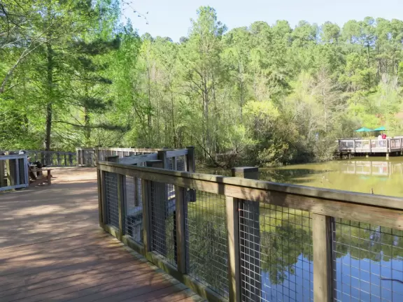 Amazing museum and grounds with so much for kids to do!