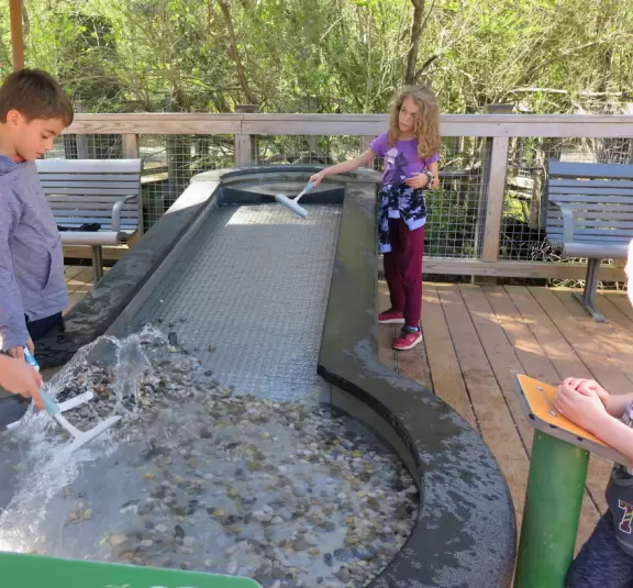 Amazing museum and grounds with so much for kids to do!