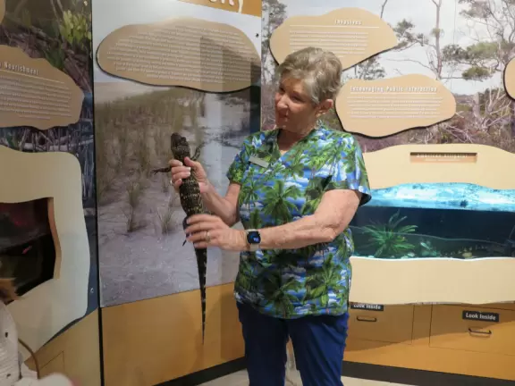 Gorgeous white sand beach on the Indian River Lagoon, plus nature center!