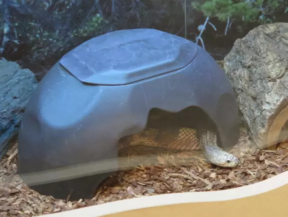 Gorgeous white sand beach on the Indian River Lagoon, plus nature center!