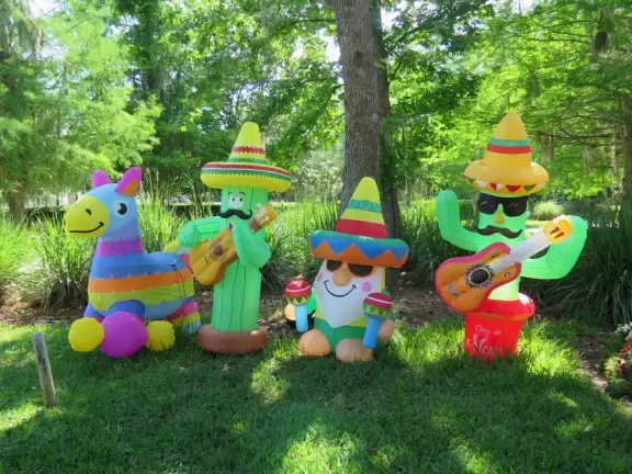 A lovely walk through quiet forest and past pretty houses with gardens.