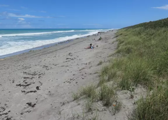 Limestone rocks that spurt water when the waves are 4-6 feet, a path through twisty trees to the beach, a visitor center, and a loop hike by the intracoastal.
