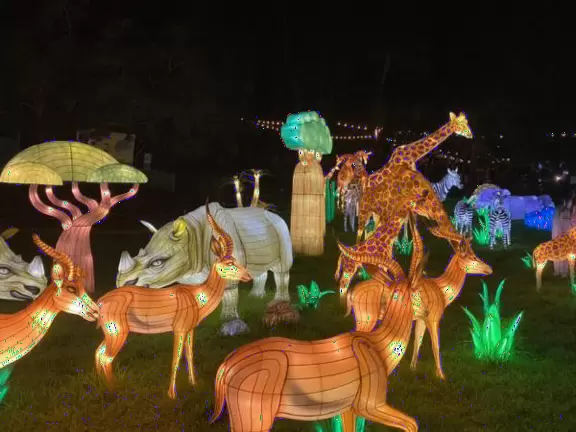 Unusual animals, delightful landscaping, stunning views, train ride through forest, and kids' play hill!