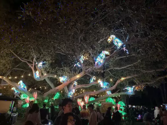 Unusual animals, delightful landscaping, stunning views, train ride through forest, and kids' play hill!