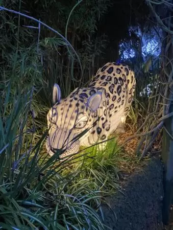 Unusual animals, delightful landscaping, stunning views, train ride through forest, and kids' play hill!