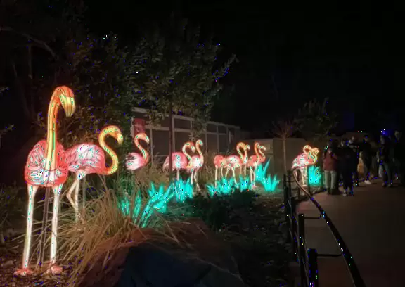 Unusual animals, delightful landscaping, stunning views, train ride through forest, and kids' play hill!