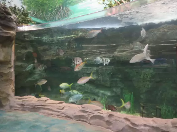 Town with splash pad on the lake, town square with cafes, playground, and lots of stores.