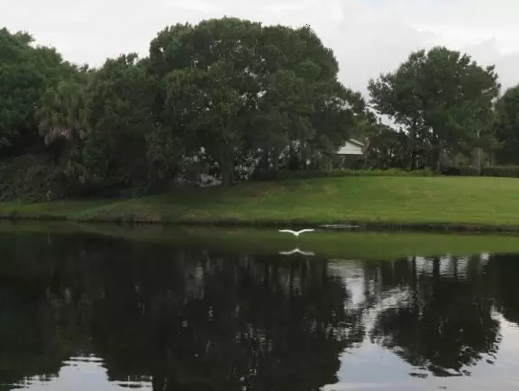 Bird with open winds reflected in the water.