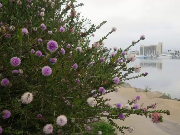 Great place for a walk before getting on a flight!