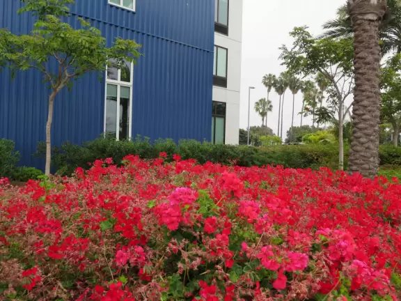 Great place for a walk before getting on a flight!