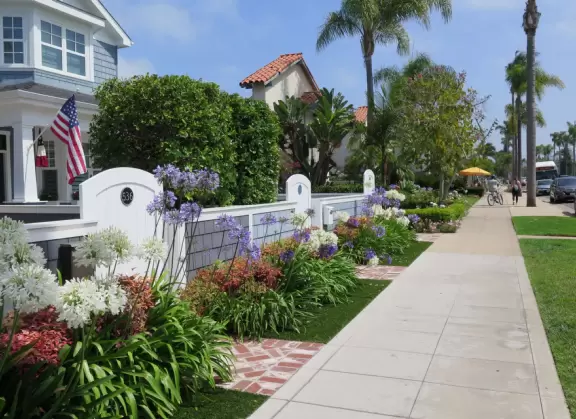 A walk among tropical trees and flowers, and the sweetest houses.