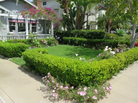 A walk among tropical trees and flowers, and the sweetest houses.