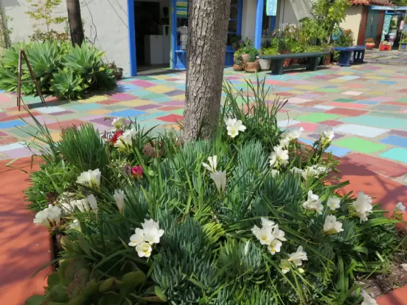Special area of Balboa Park with adobe buildings, mesquite trees, and brightly colored tiles on the ground. Heart sculpture, and SD Gem Museum. Plus, the wonderful carousel!
