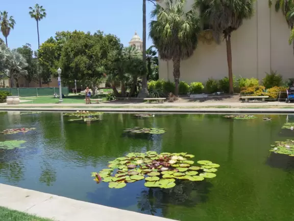 Stroll past beautiful architecture, ponds, fountains, flowers, and trees. Visit many different museums! And best of all, walk through sumptuous gardens.