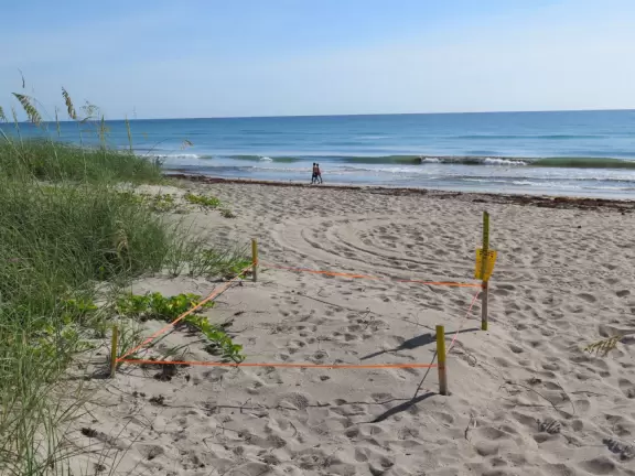Pretty beach where you can take a long walk along the shore, or along the sidewalk in the morning.