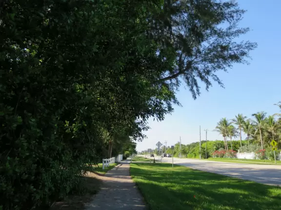 Walk along the sidewalk past mansions, tropical landscaping, and beautiful beach access points.