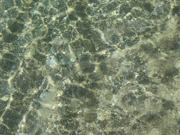 Ultra-shallow clear waters protected by a reef make this a perfect swimming spot for very young children.