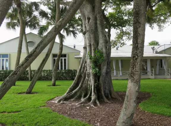 Waterfront park with walking paths under a zillion coconut trees, ship playground in white sand, hopscotch, and colorful pictures and hopscotch on the path.