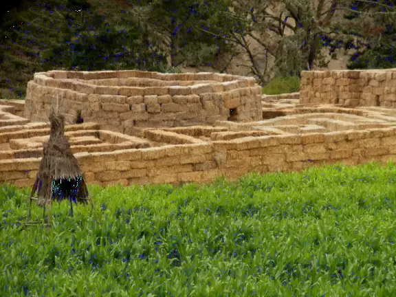 Huge pumpkin farm with pumpkin river, corn fields to wander, hay rides, and petting zoo.