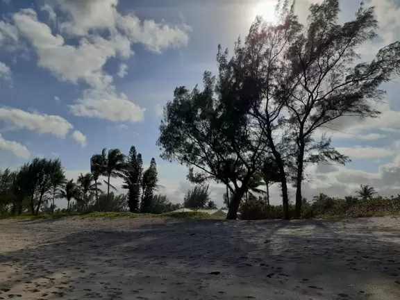 Flat hard-packed sand along the shore, that you can walk for miles!