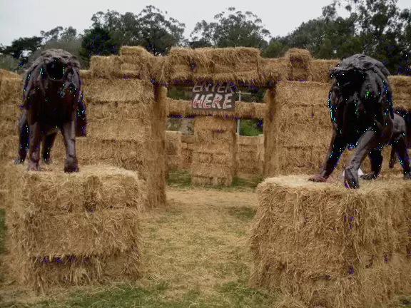 Huge pumpkin farm with pumpkin river, corn fields to wander, hay rides, and petting zoo.