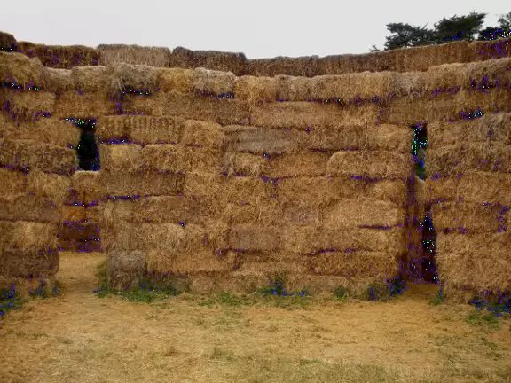 Huge pumpkin farm with pumpkin river, corn fields to wander, hay rides, and petting zoo.