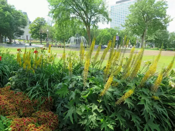 Impressive, stately building atop a hill, with lovely gardens and statues, and a fountain in the middle if the street.