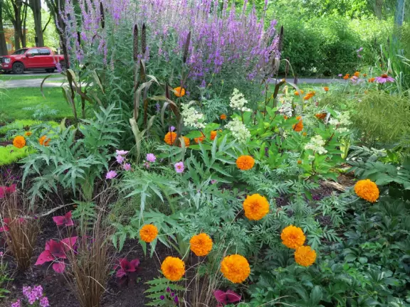 Sweet little spot to sit, with flower beds and benches.